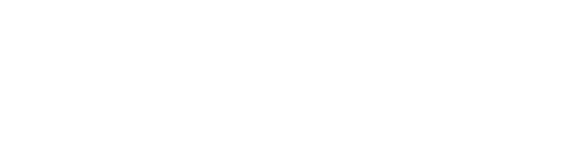 VIGO Construct